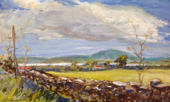Una vista da Streedagh